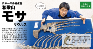 日本一の骨格化石 和歌山 モササウルス - LIVING和歌山