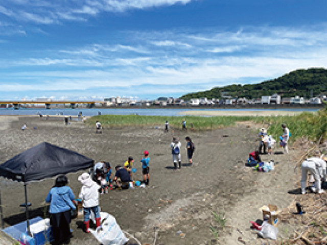 有田川干潟観察会