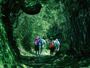 高野坂