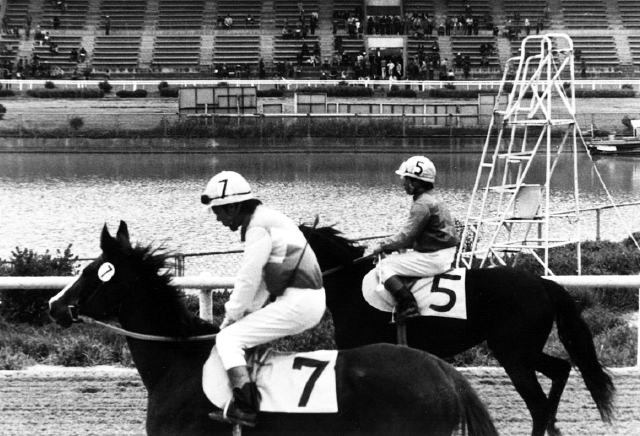 昭和63年までひづめの音を響かせた紀三井寺競馬場